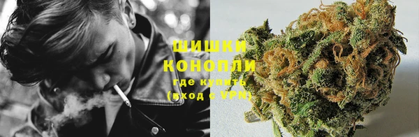 эйфоретик Гусев