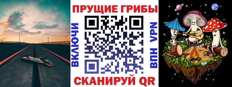Псилоцибиновые грибы мицелий  omg онион  Губкин 