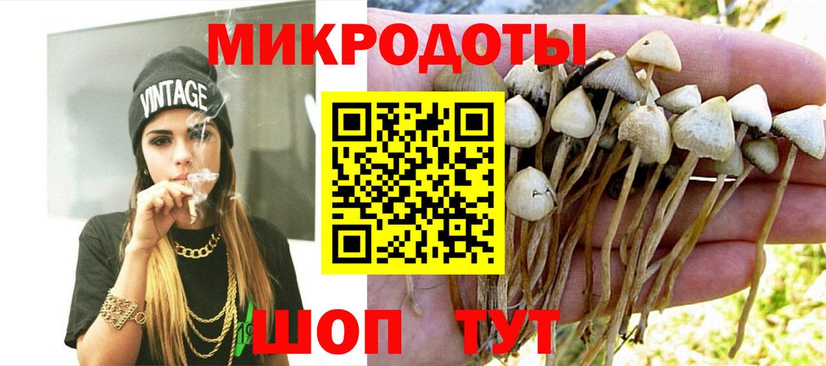 Губкин  Псилоцибиновые грибы Magic Shrooms  Вход с VPN 