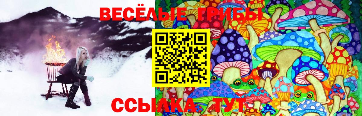 Галлюциногенные грибы прущие грибы Губкин