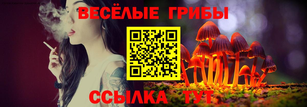 Галлюциногенные грибы Psilocybe  Галлюциногенные грибы мухоморы  где можно купить наркотик  Губкин 